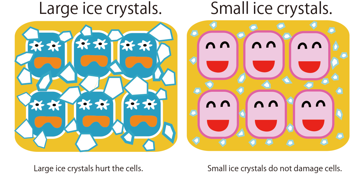 Large ice crystals hurt the cells.